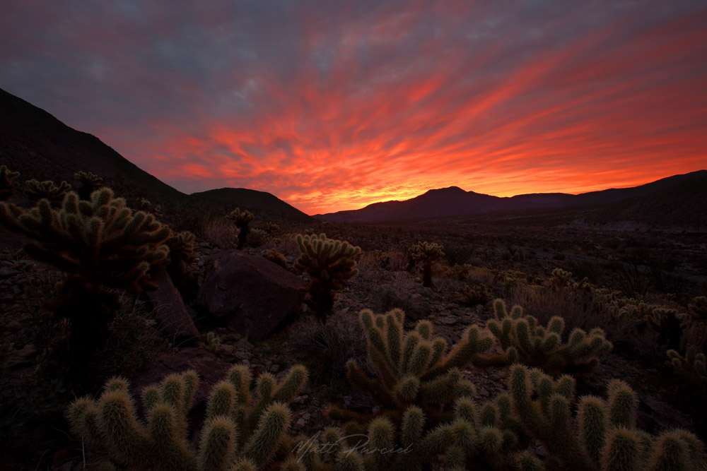 Anza Borrego State Park Sunrise