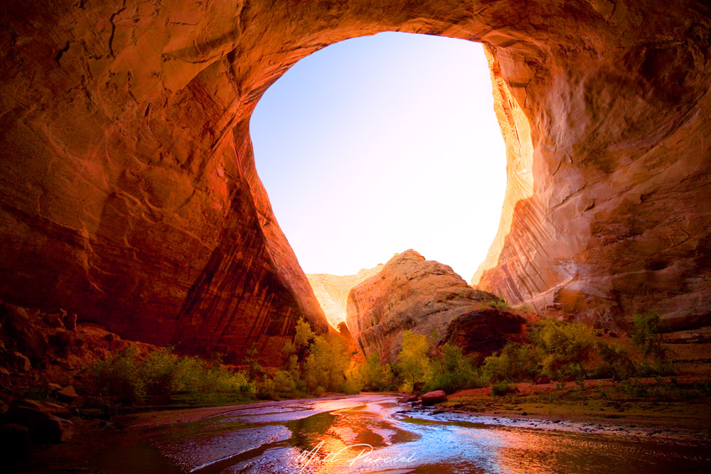 Coyote Gulch