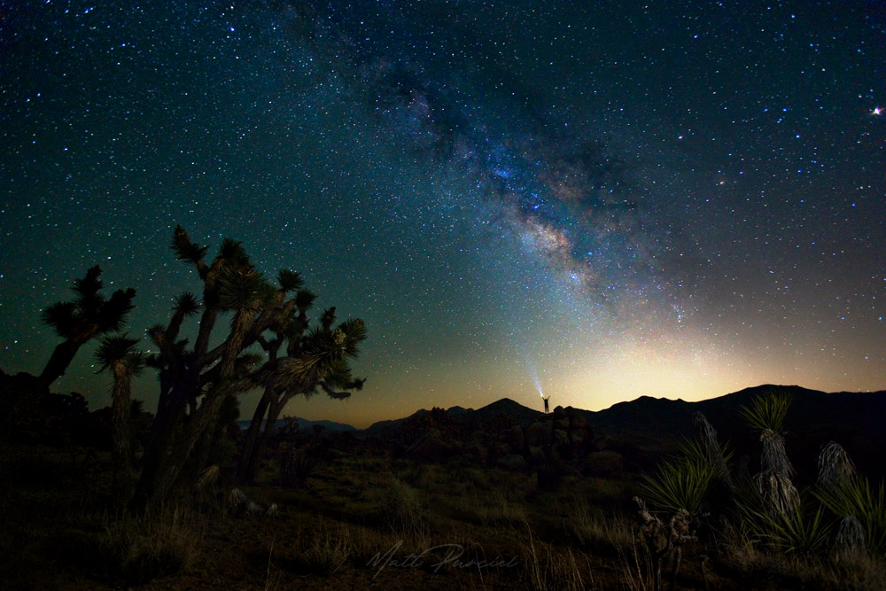 Joshua Tree Milky Way