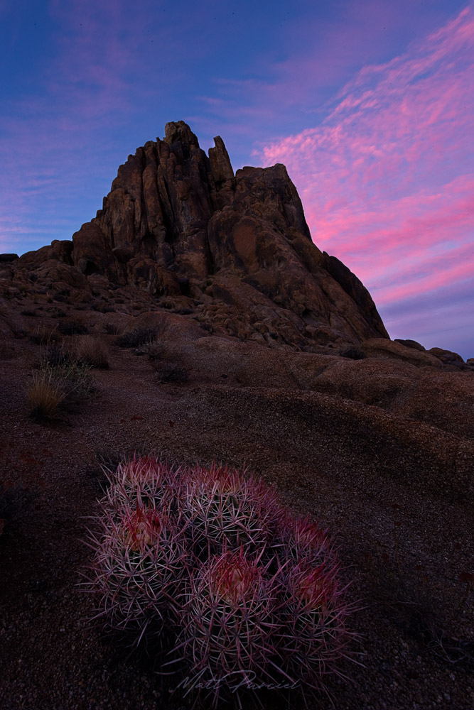 Lone Pine Sunset