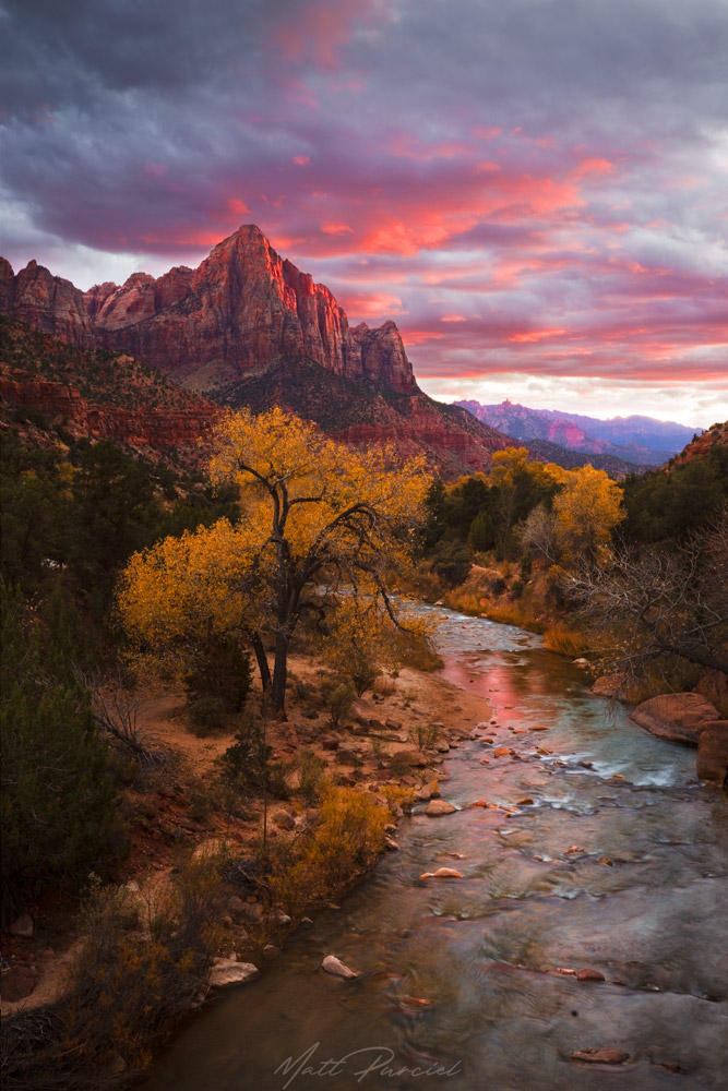 The Watchman of Zion