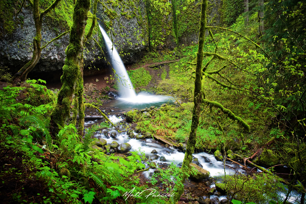 Ponytail Falls