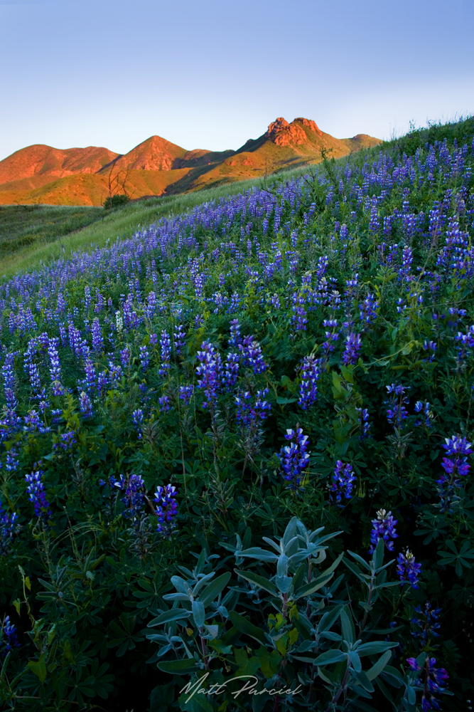 Santa Monica Mountains