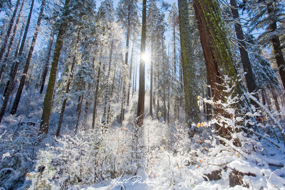 Yosemite Winter Photography