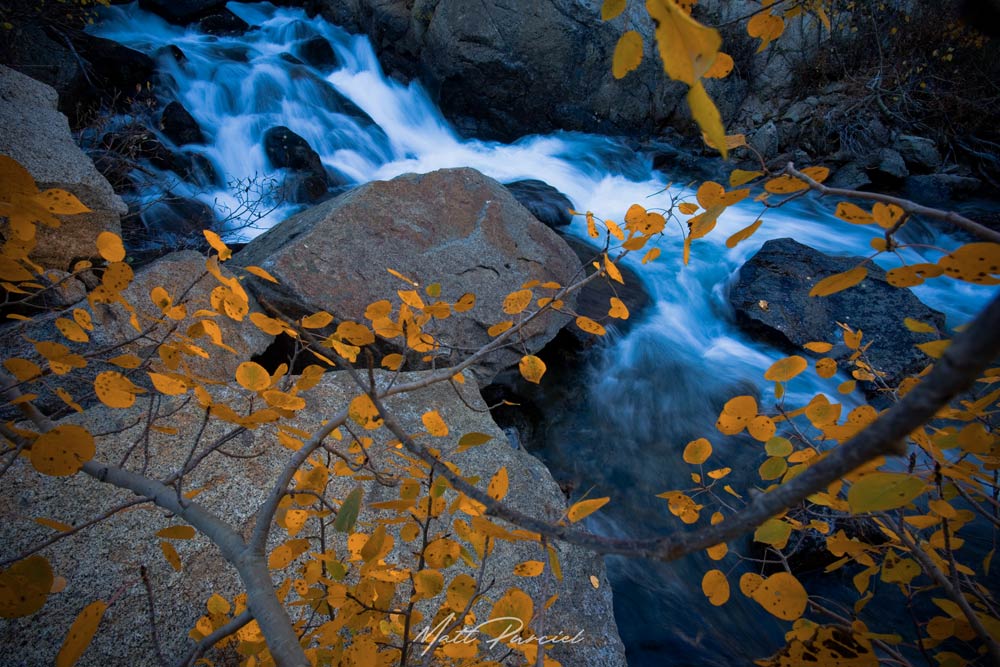 Eastern Sierras Fall Colors