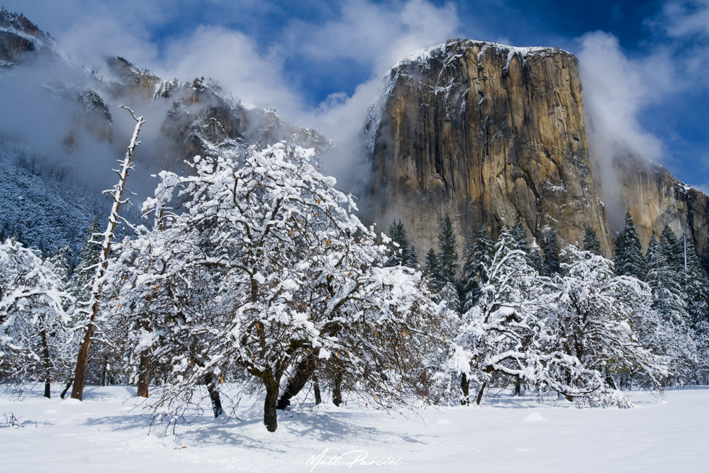 Yosemite in Winter
