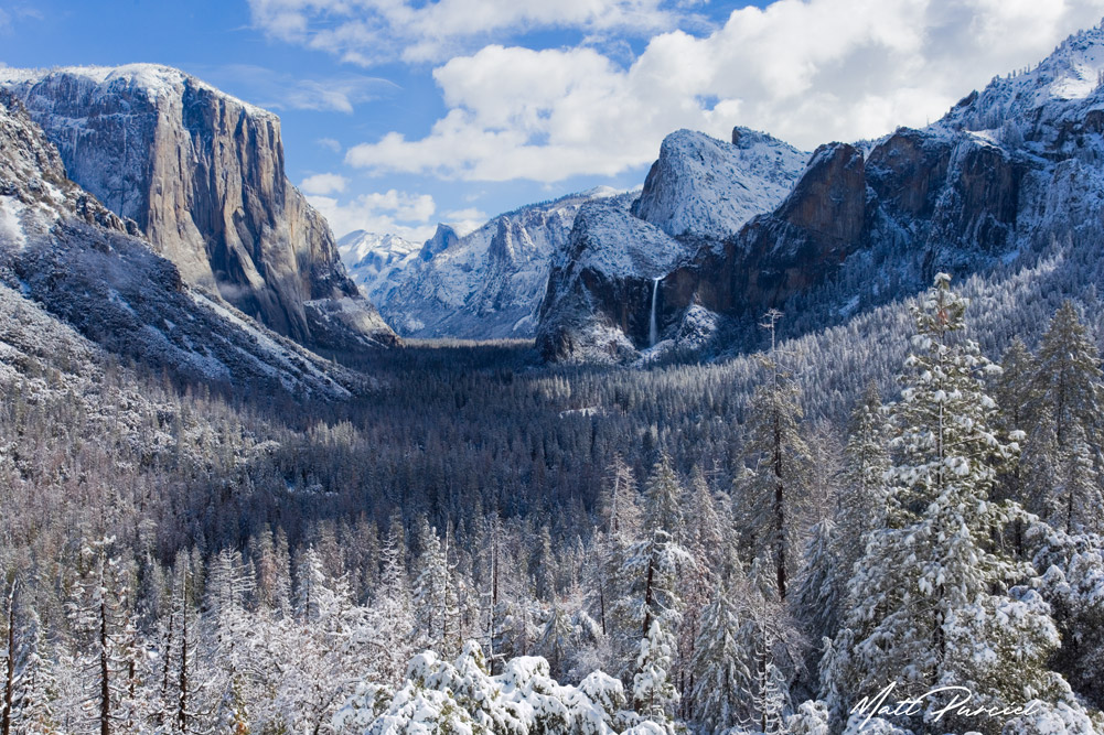 Yosemite Winter Wonderland
