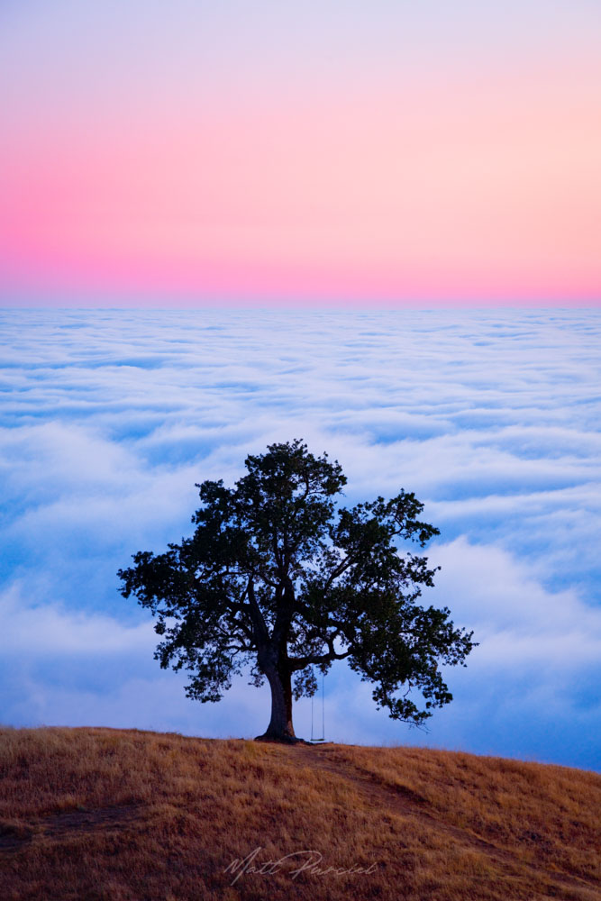 Big Sur Sunset Secret Swing � Iconic hidden swing overlooking dramatic Big Sur coastline at sunset